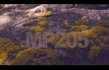 [Video] MP205 – “Do It For Da Snap” @MP205