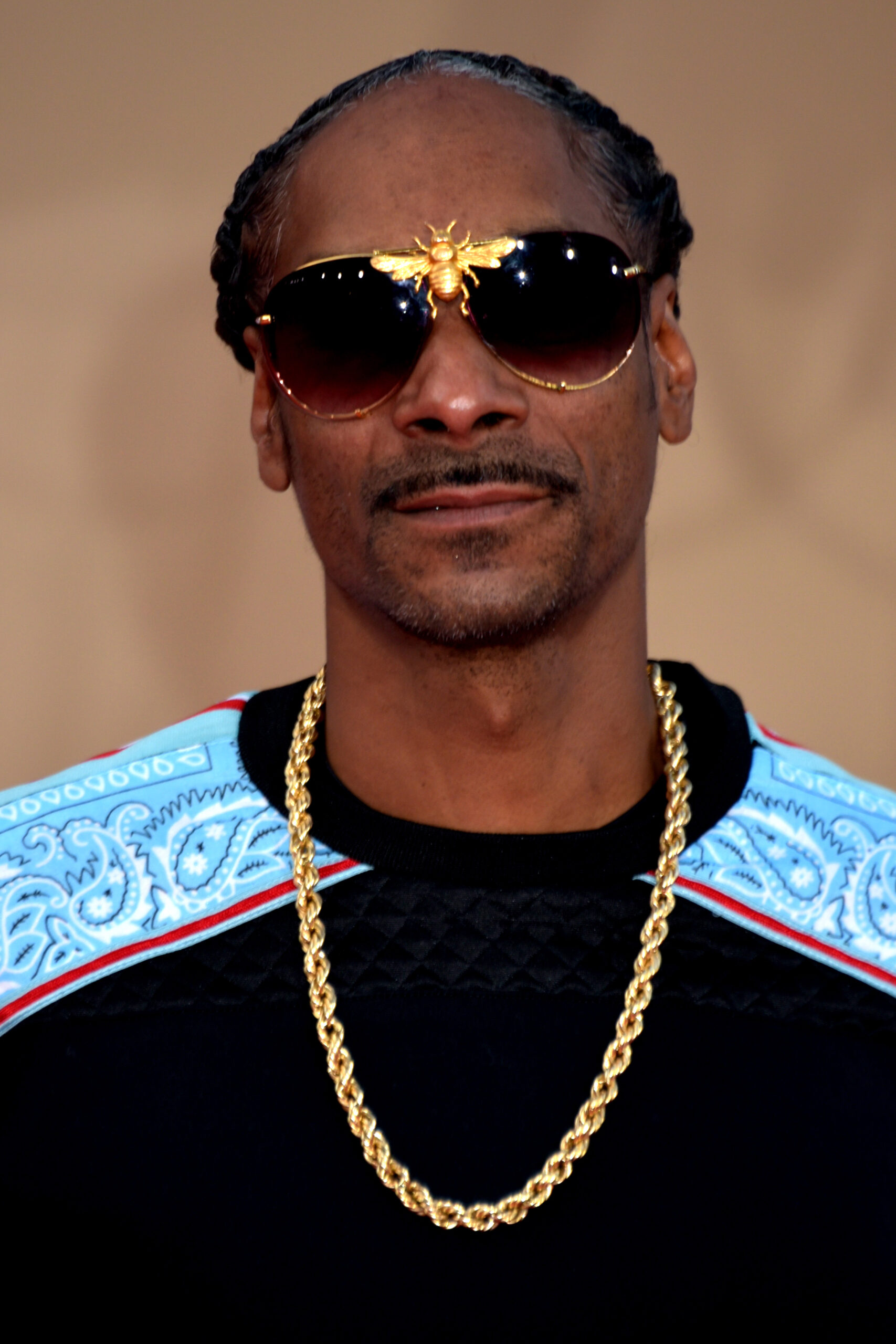 Snoop Dogg, the iconic hip-hop company Def Jam, has hired him as an executive