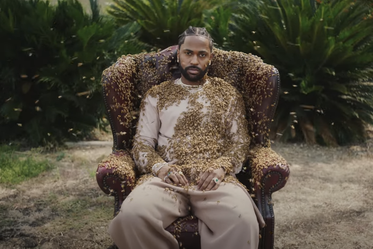 ‘CANDYMAN’ JOKES ATTACK BIG SEAN OVER BEE-COVERED ‘WHAT A LIFE’ VIDEO