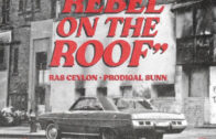 (Video) Ras Ceylon & Prodigal Sunn “Rebel on the Roof” @RasCeylon @ProdigalSunn